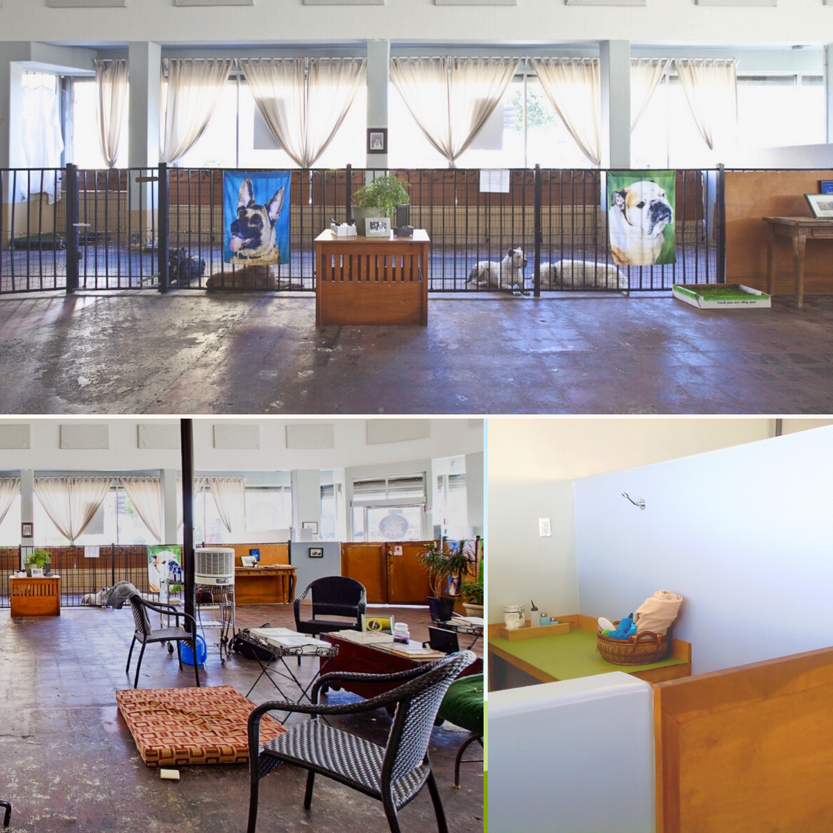 Three interiors pictures of Eco Dog Care LA showing open spaces, fences for safely containing dogs but giving lots of room and lots of natural light. Also shows bath stall with high walls and door to minimize distractions,